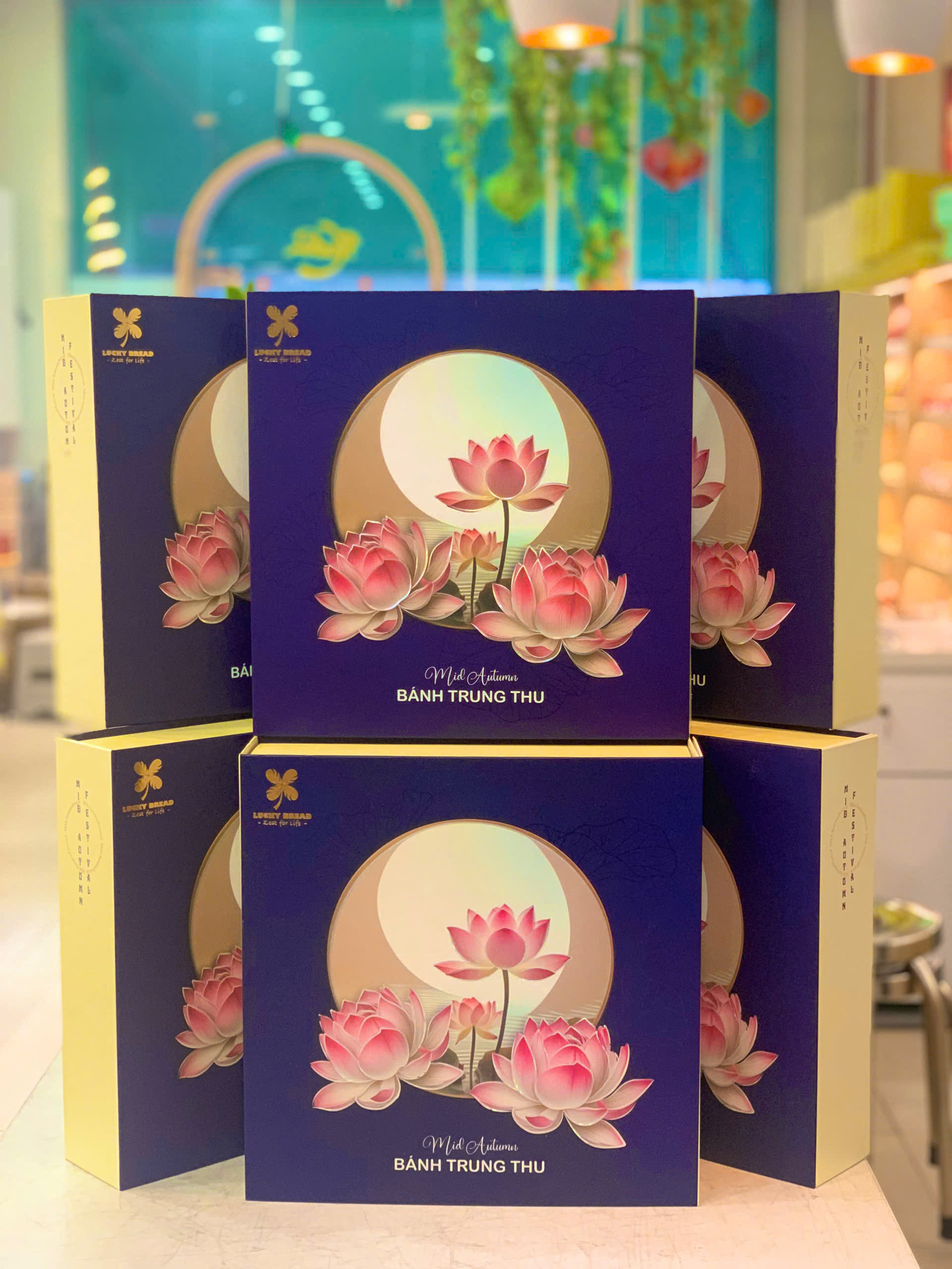 Nguyệt An Nhiên - Ảnh 2