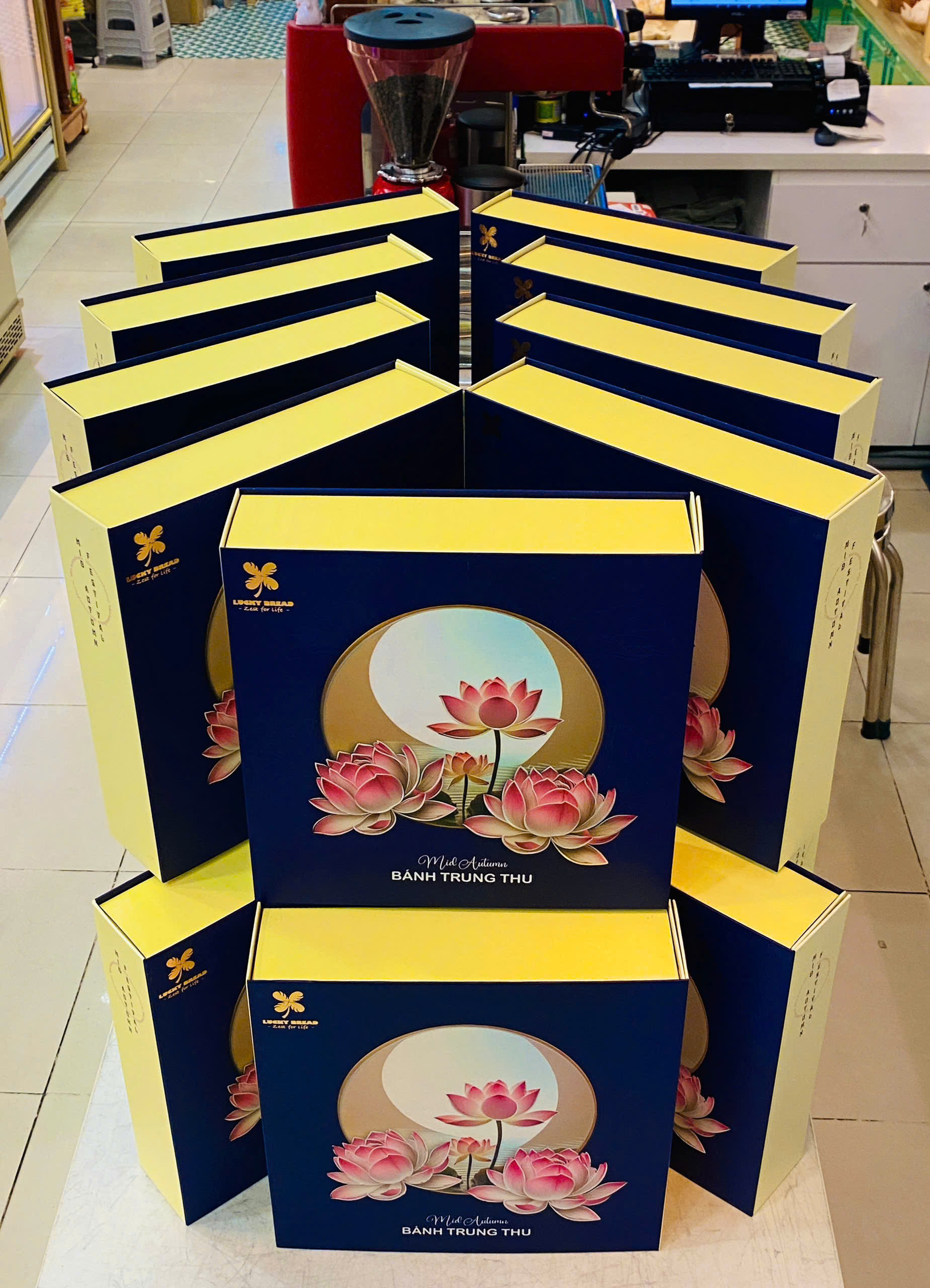 Nguyệt An Nhiên - Ảnh 5